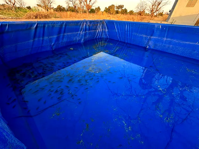 Bassin construit avant mise en eau